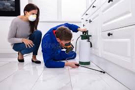 Best Pest Control for Hotels  in Peabody, MA